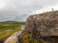 Isle of Skye
